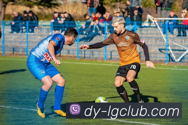 老哥俱乐部官网平台生态图